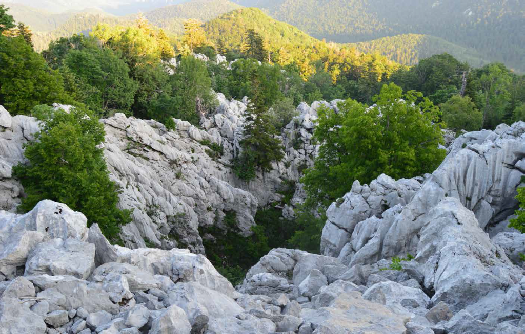 Bijele stijene (foto: Nikola Pletikosić)