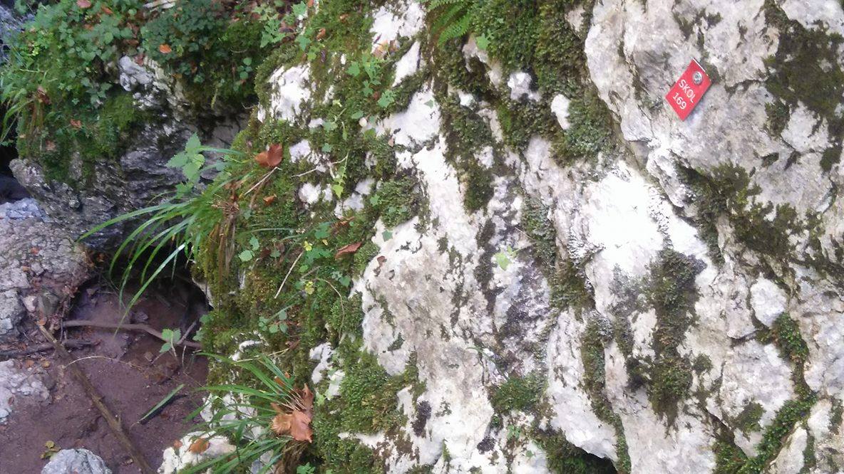 Speleološka ekspedicija ‘Srednji Velebit 2018’